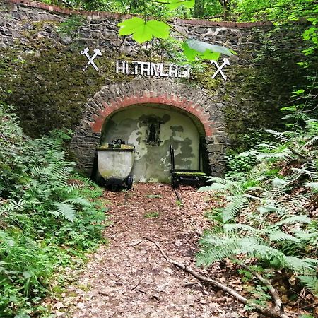 Ferienhaus 30 Am Silbersee Frielendorf المظهر الخارجي الصورة